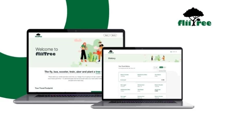 Solution Analysts - FillTree