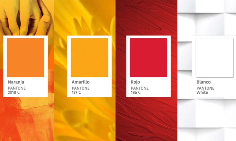 360BRAND - Brand Identity and Implementation