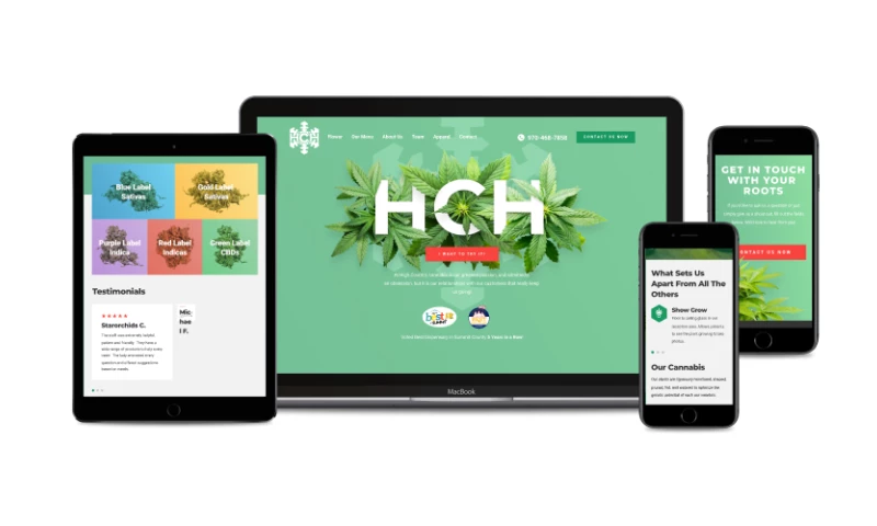 Direct Line Development - High Country Healing