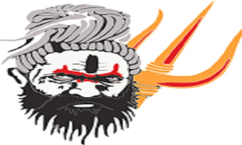 SEO Solution - Astrologerakshaysharma