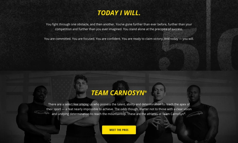 CarnoSyn Campaign Development, Social Media, SEM, Design