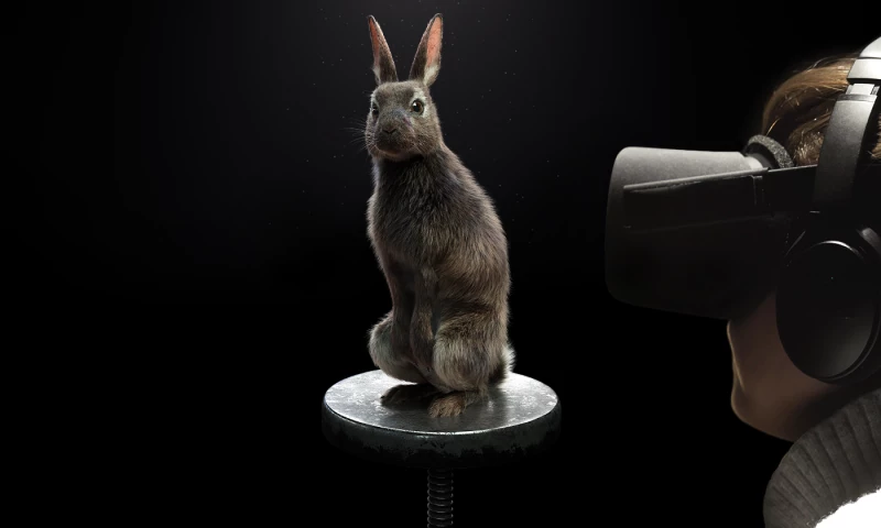 Demodern GmbH - PETA Virtual Reality Live Acting Experience