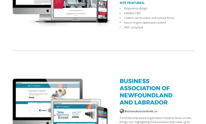 Dc. - Website Design & Development