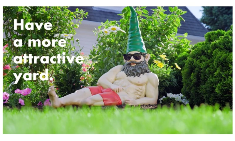 Lawn Doctor & Mosquito Hunters | Creative Campaigns