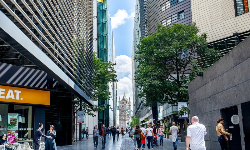 HeightOn - International regulatory recruitment experts brand development