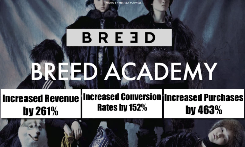 PPC Ads Management and Social Media Marketing