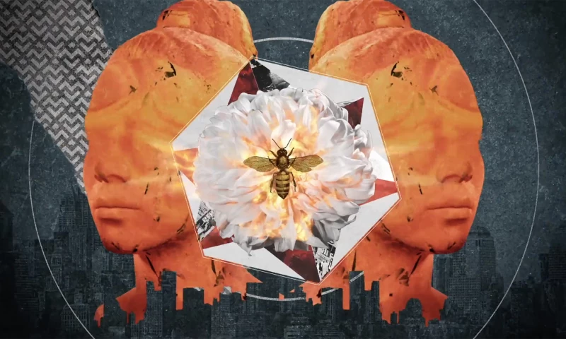 Hero4Hire Creative - My Eyelab