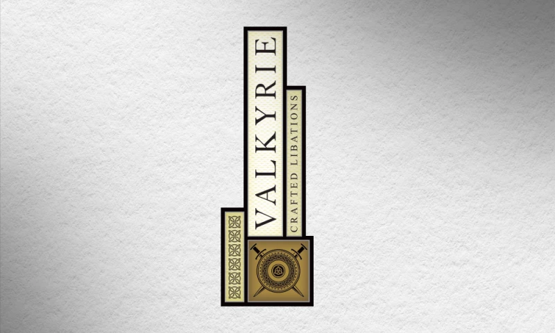 AXIS visual - Valkerie Logo