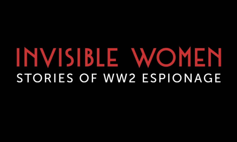 Bigsnit Media Consulting Inc. - Invisible Women