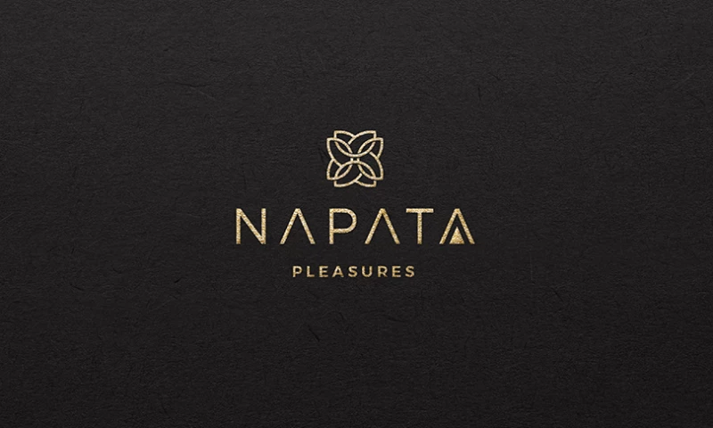 Aniko Branding - Aniko Branding