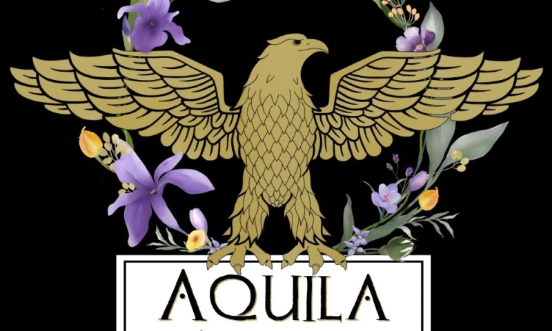 Bee More Design - Aquila Branding