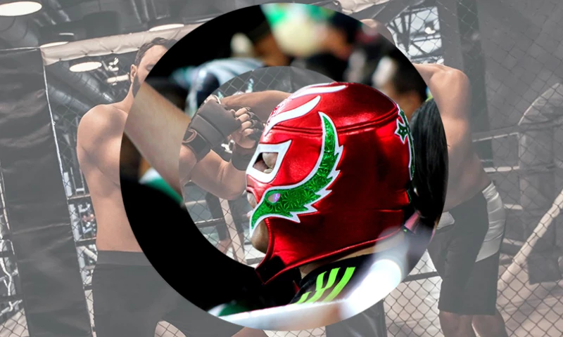 Hydra Creative - Ringside World