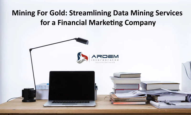 Streamlining Data Mining Services for a Financial Marketing Company