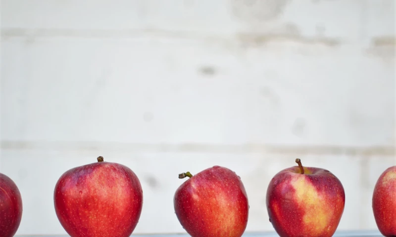 Archiving Medical Records for a Biomedial and Public Health Research Agency