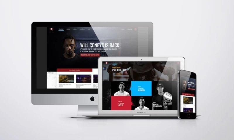 Adrenaline Worldwide - Wordpress