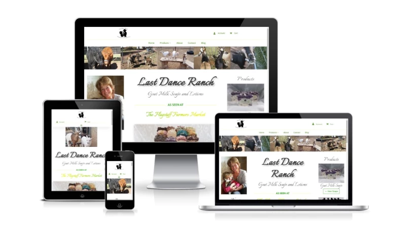 JnM Web Creations - The Last Dance Ranch