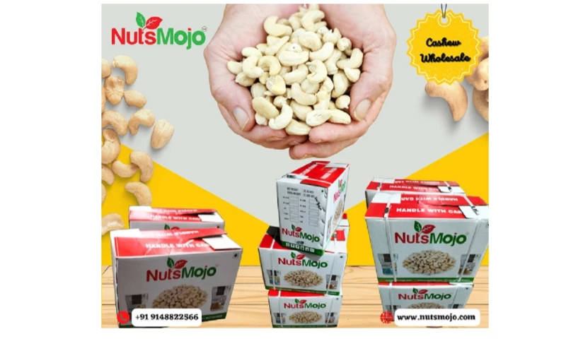 EarnWealth Solutions Pvt Ltd - NutMojo.com