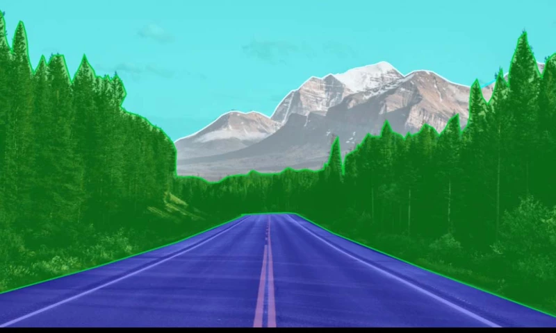 Semantic Segmentation