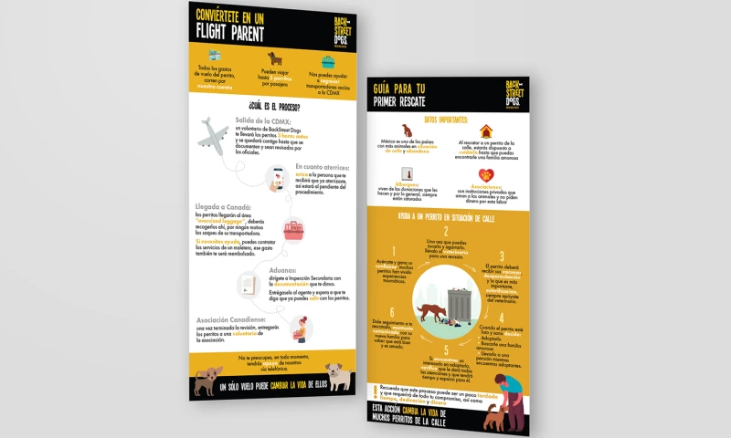 Infographic design with instructions for adopted dogs