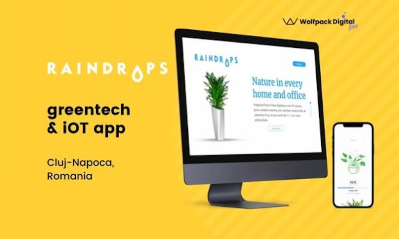 Wolfpack Digital - Raindrops