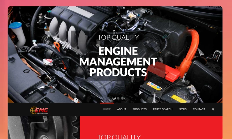 Arnaez Studios - EMG International