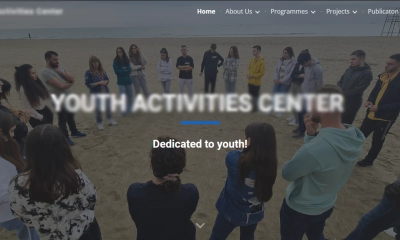 Dalerio Consulting - Digital Marketing for Non Profit Organization