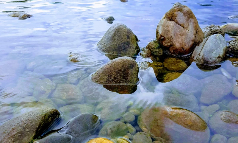 BiljanaJo - ribolovci.rs