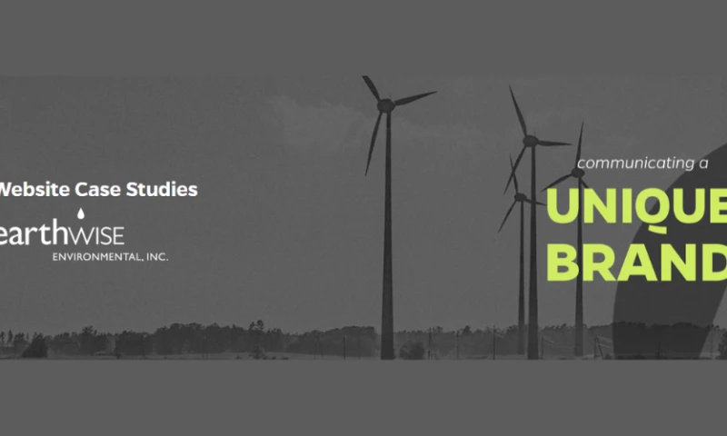 Earthwise Environmental - Website Case Study