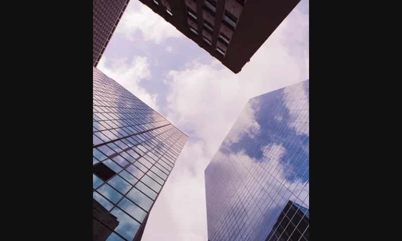 A Swiss CEO Seeks Validation in The U.S. For a Unique Business