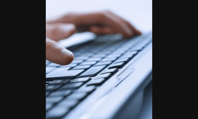 A Senior Executive at a Fortune 50 Company