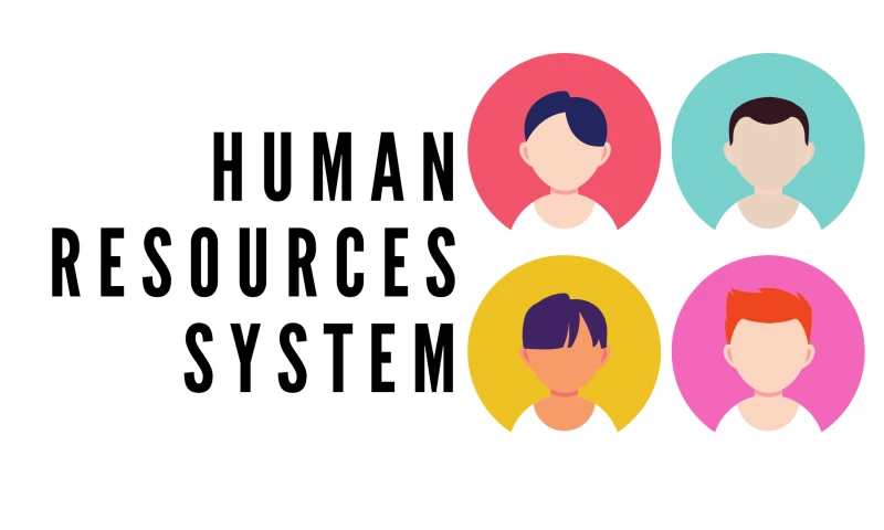 SKILL AND CHILL - HR System