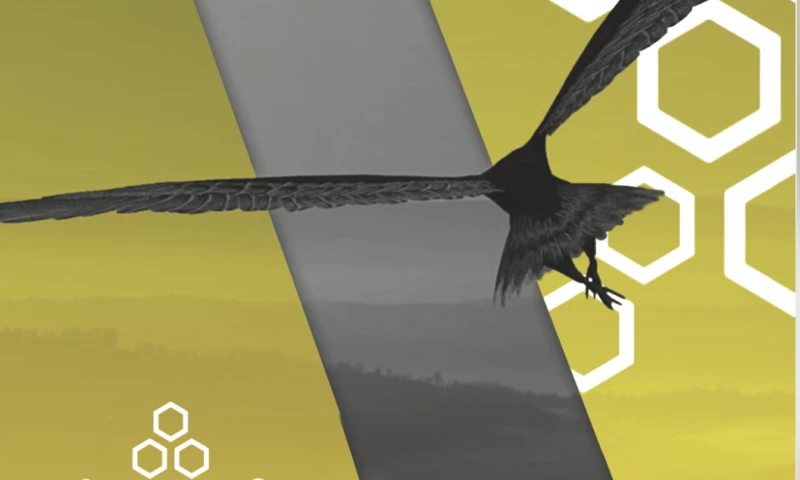 Outsource2Us - Advivo Marketing Support