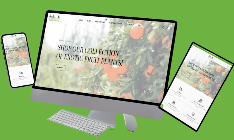 Technoholic Advance Solutions - M M Nurseries