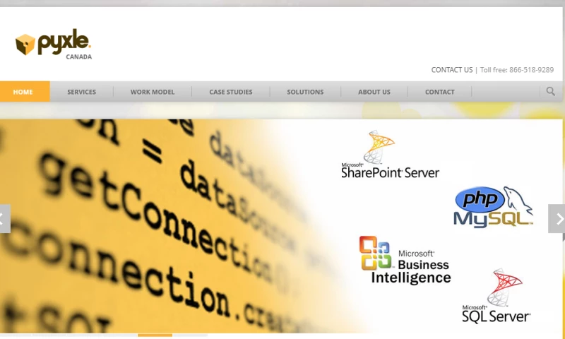 EuroAsia Consulting - Pyxle.ca website