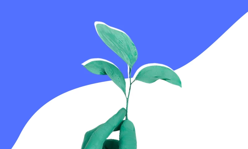 Ninjapromo - 3WM Coin Case