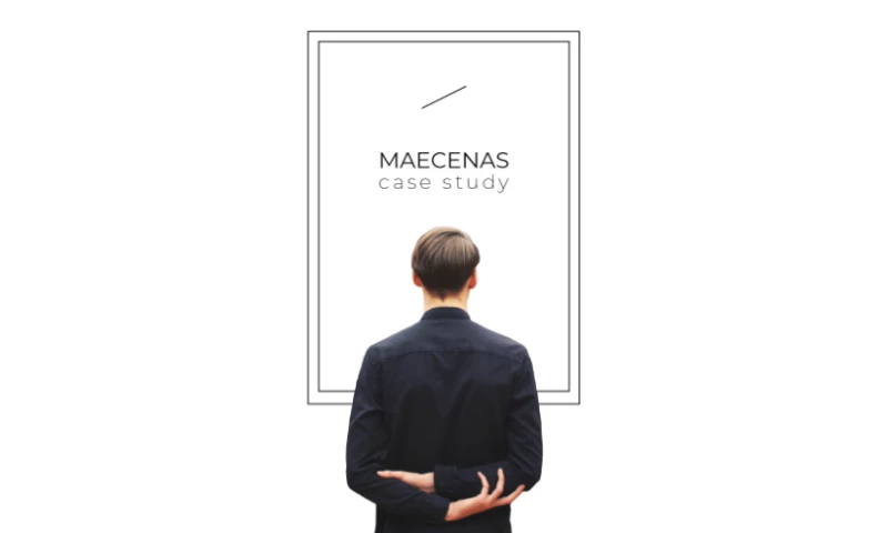 Ninjapromo - Maecenas Case