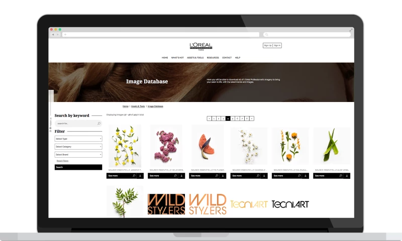 Formulate Digital - L'Oreal Business Plus