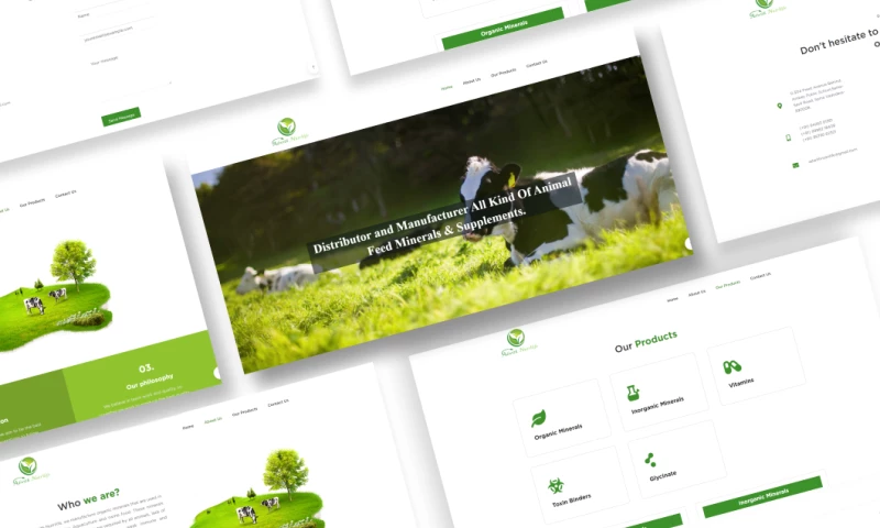 Skystis Infotech - Adwith Nutrilife