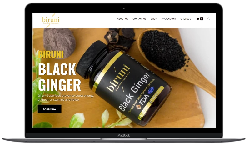 Blueniaga - Biruni Official