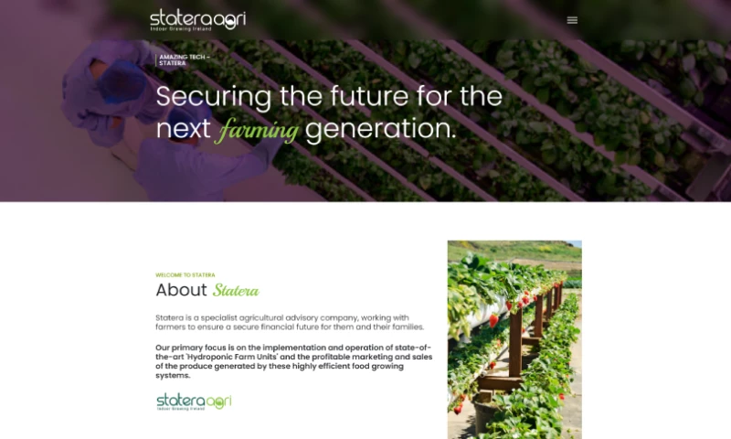 The Inceptives - Build Your Online Presence with a Professional Website