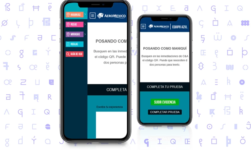 Aeronautic Company Application