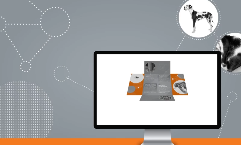 Graham - Australian Government