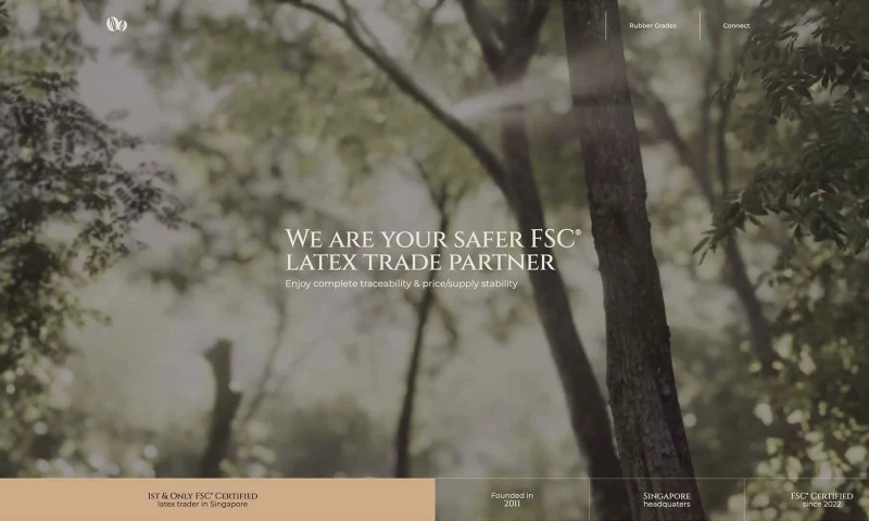 Volt - Everwin Rubber