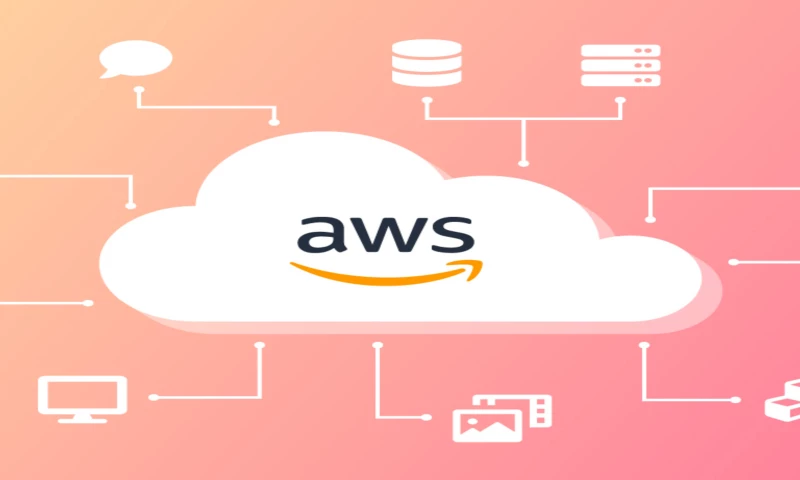 SupportSages Consultancy Services Pvt Ltd - AWS Cloud Migration for Outsourcing Processes Company