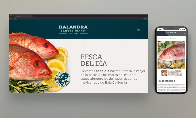 Baja Web Squad - Balandra Seafood Market