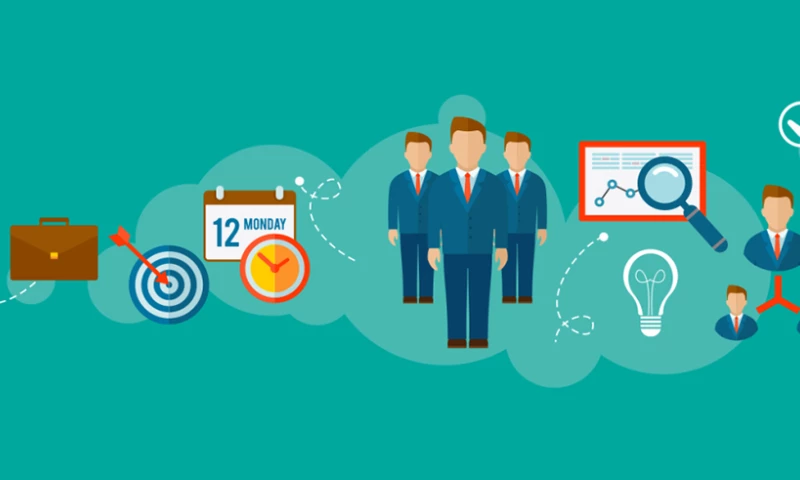 Sales Wolf - USA Projects