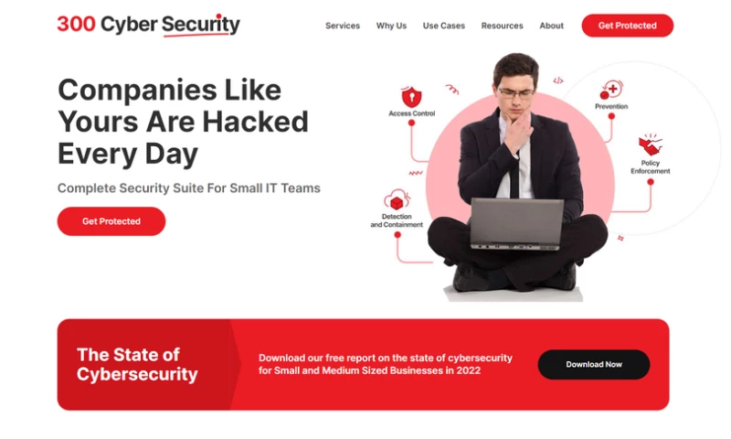 The Story Webs - 300 Cybersecurity