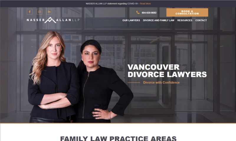 The Story Webs - Nasser Allan