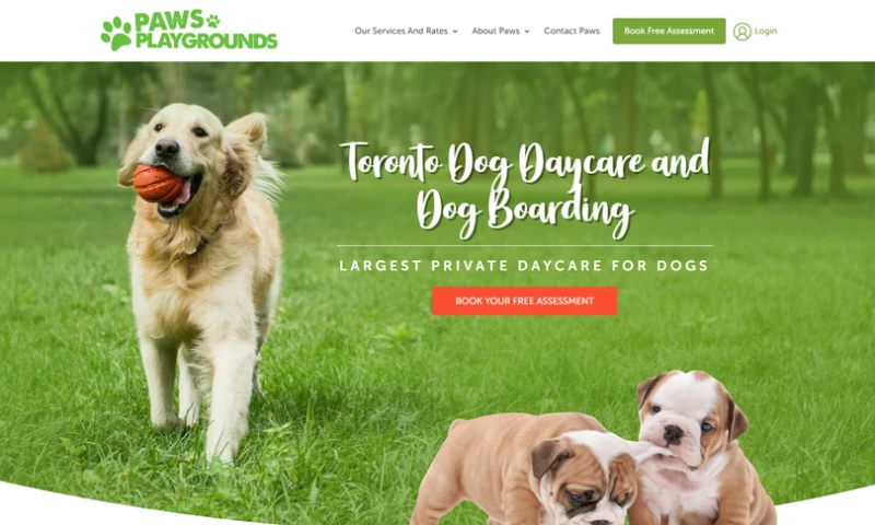 The Story Webs - Paws Playgrounds