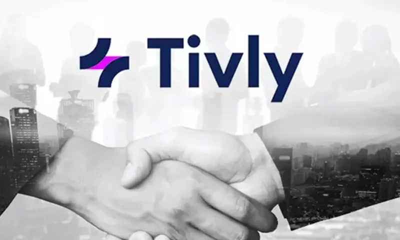 Catchword - Rebranding a leader in commercial insurance solutions